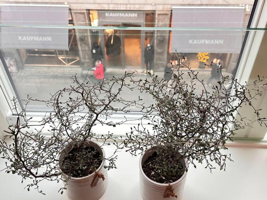 Boutique In Citycenter Appartement Kopenhagen